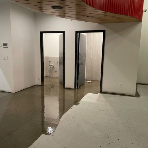 WhatsApp Image 2025-06-20 at 15.37.30_Convertido