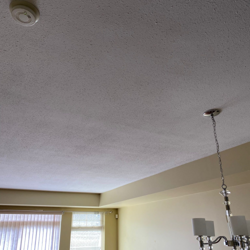 WhatsApp Image 2025-06-20 at 16.31.18_Convertido