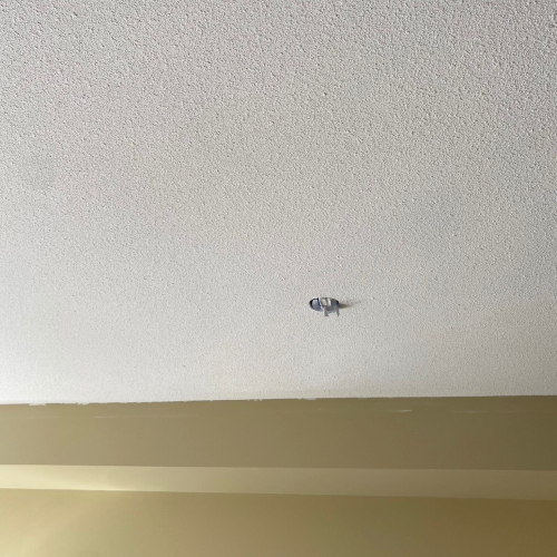 WhatsApp Image 2025-06-20 at 16.31.20 (1)_Convertido